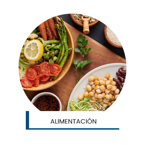 Alimentación