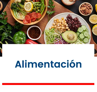 Alimentación