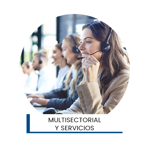 Multisectorial y servicios